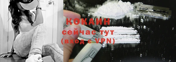 прущие грибы Саяногорск