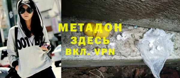 прущие грибы Саяногорск