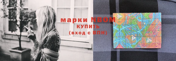 прущие грибы Саяногорск